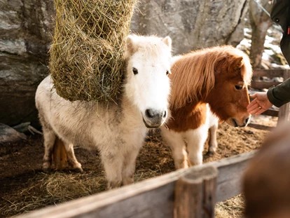 Wanderurlaub - Klassifizierung: 3 Sterne - Unsere Tiere am Hof - Pirker’s Natur & Bio Familienhotel