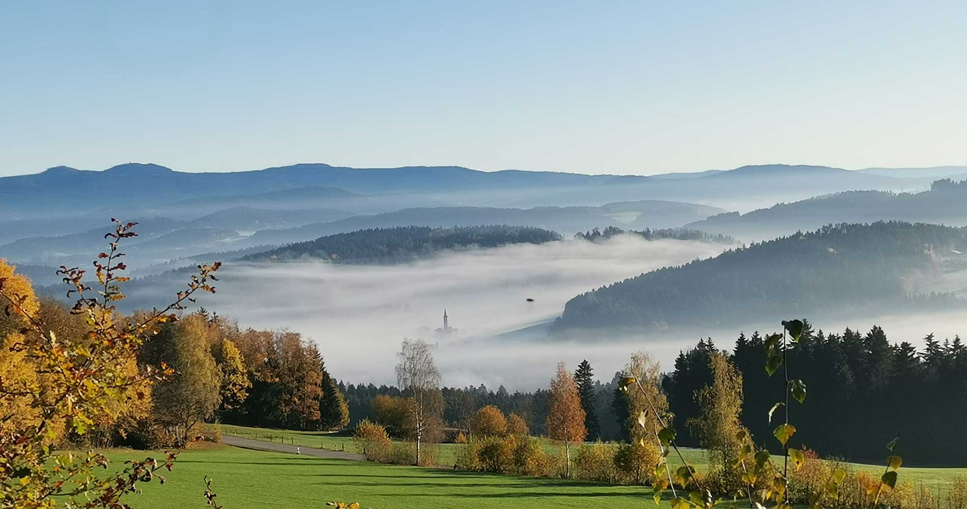 Wanderhotel: Aussicht von einer Wanderung nähe Kollnburg - Wellness Hotel Zum Bräu