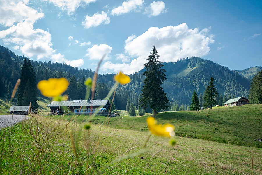 Landhaus am Stein Almen Genusstour Schwarzentenn Alm