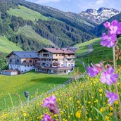 Wanderhotel - Wanderurlaub in Österreich in den Kitzbühler Alpen - Ferienwohnungen Perfeldhof