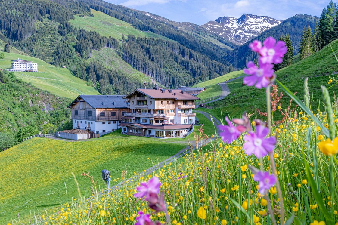 Wanderhotel: Wanderurlaub in Österreich in den Kitzbühler Alpen - Ferienwohnungen Perfeldhof