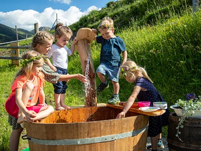Wanderurlaub - Fahrstuhl - Kinderfreundliche Unterkunft in den Bergen - Ferienwohnungen Perfeldhof