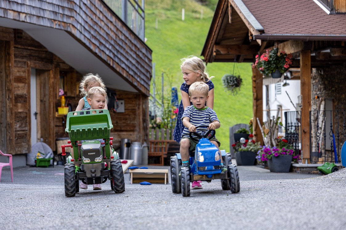 Wanderhotel: Kinderfreundlicher Sommerurlaub in Österreich - Ferienwohnungen Perfeldhof