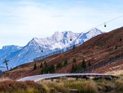 Wanderurlaub - Fahrstuhl - Hacklberg-Wanderung im Herbst - Ferienwohnungen Perfeldhof