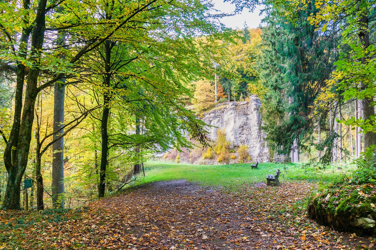 Landhaus Sponsel-Regus Tourentipps Waldbaden im Naturschutzgebiet