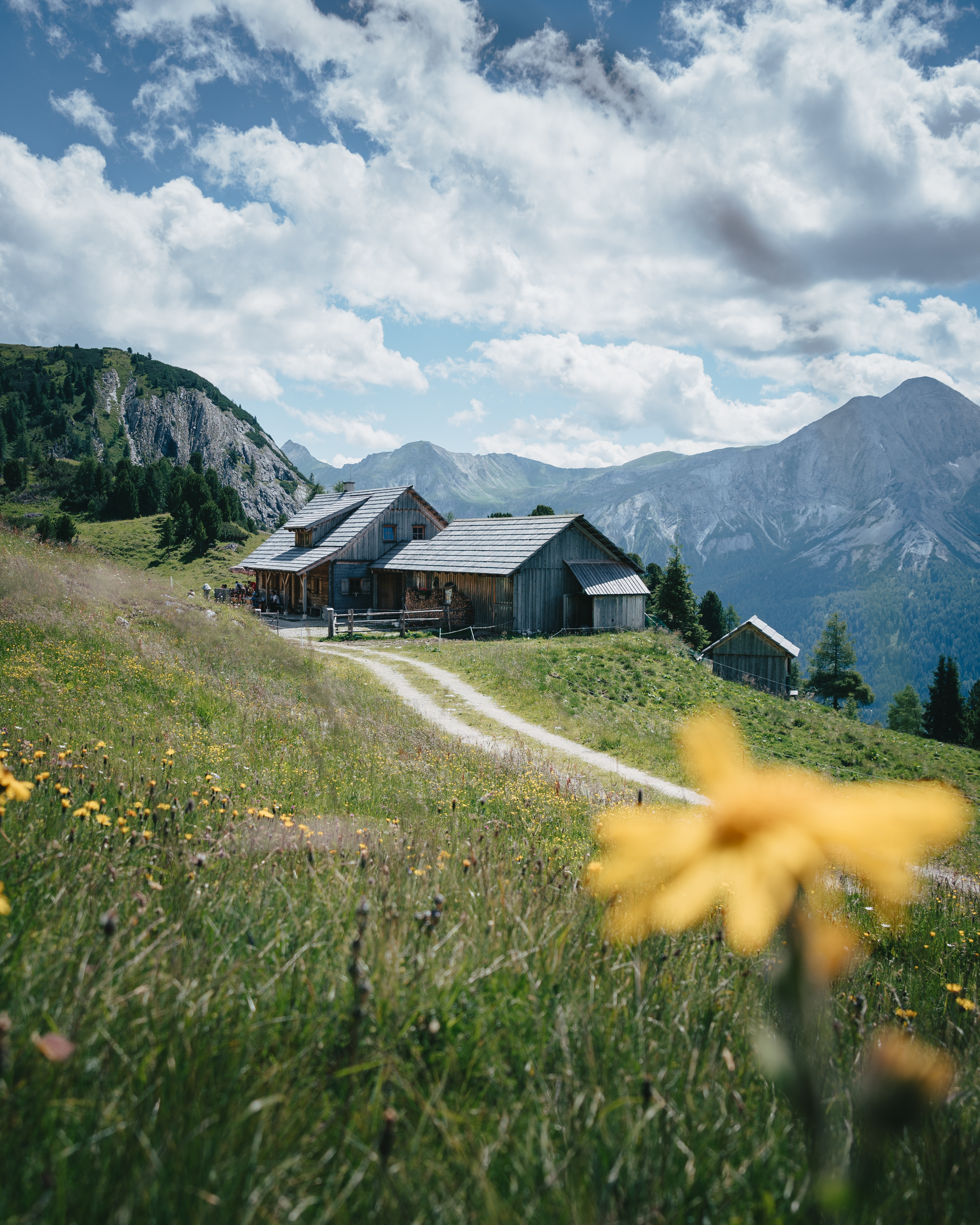 FOXY Obertauern Almen Wanderung zur Twenger Alm