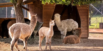 Wanderurlaub - Fahrstuhl - Bewohner im Dorf der Tiere - Familiengut Hotel Burgstaller