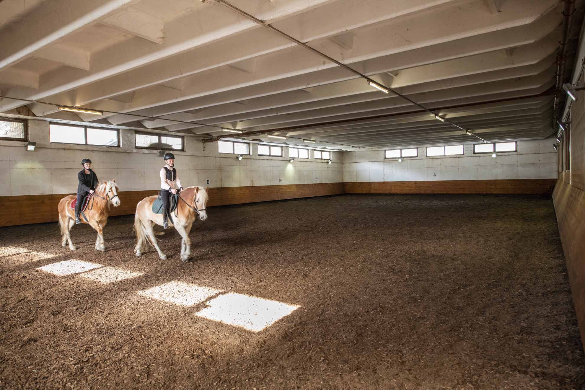 Wanderhotel: Reithalle - Familiengut Hotel Burgstaller