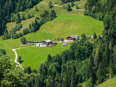 Wanderhotel: Bergbauernhof Irxner