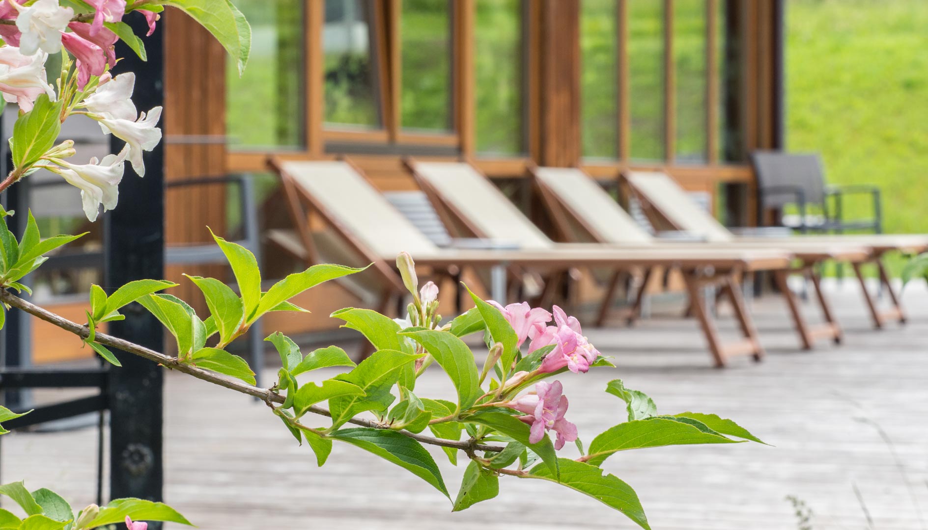 Wanderurlaub - PLZ 9632 (Österreich) - Hotel Das Leonhard