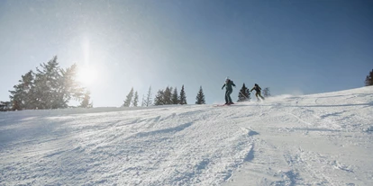 Wanderurlaub - Steiermark - Hotel Waldfrieden
