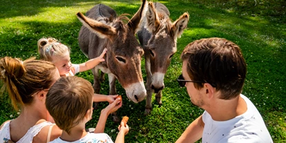 Wanderurlaub - Steiermark - Almwelt Austria