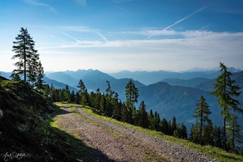 Wanderhotel: Wanderweg Emberger Alm, eine der vielen  - Sattleggers Alpenhof & Feriensternwarte