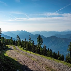 Wanderhotel: Wanderweg Emberger Alm, eine der vielen  - Sattleggers Alpenhof & Feriensternwarte