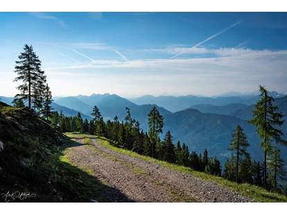 Wanderurlaub - Kötschach-Mauthen - Wanderweg Emberger Alm, eine der vielen  -   Sattleggers Alpenhof & Feriensternwarte