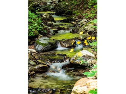 Wanderurlaub - Kötschach-Mauthen - Unsere Bäche, wie wir sie lieben ....  -   Sattleggers Alpenhof & Feriensternwarte
