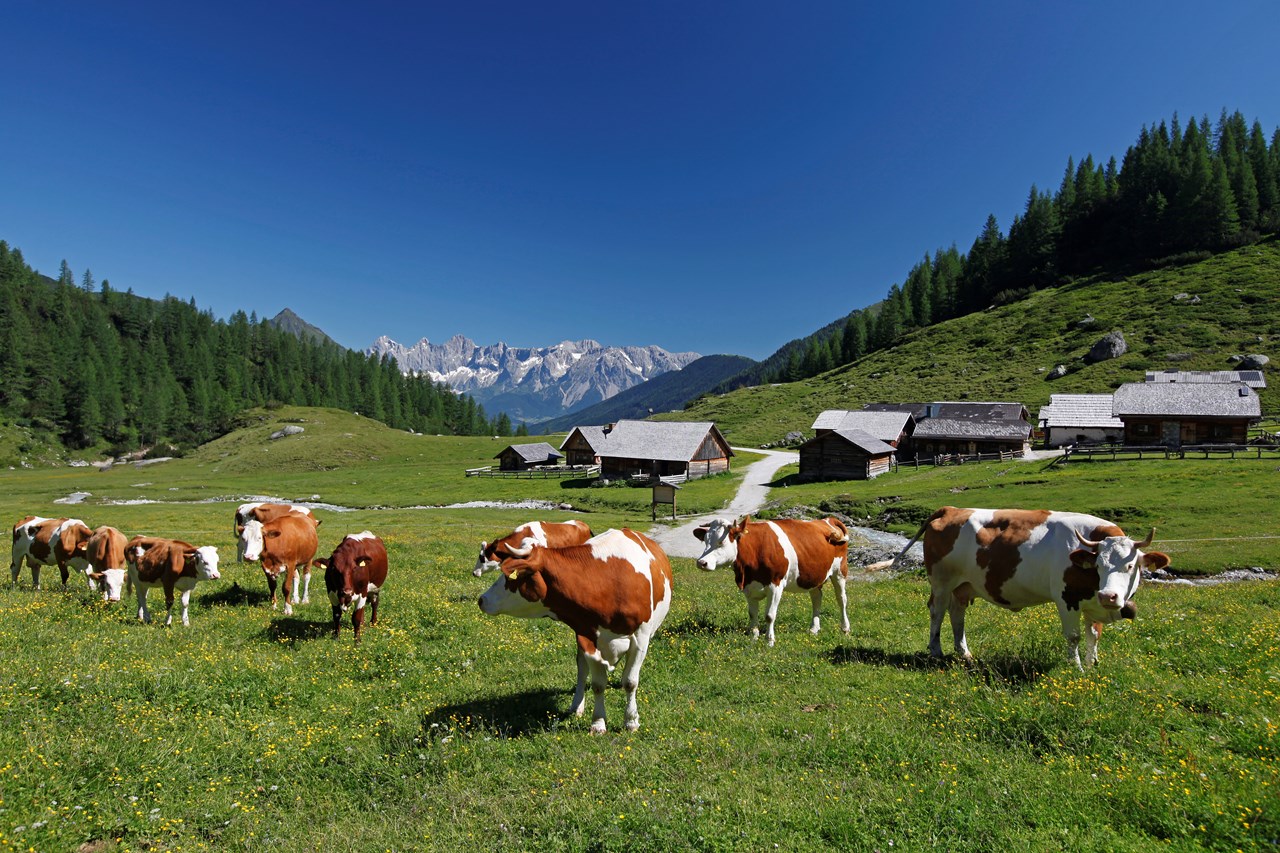 Hotel Restaurant Pariente Almen Ursprungalm