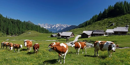 Wanderurlaub - Fahrstuhl - Ursprungalm - Hotel Restaurant Pariente