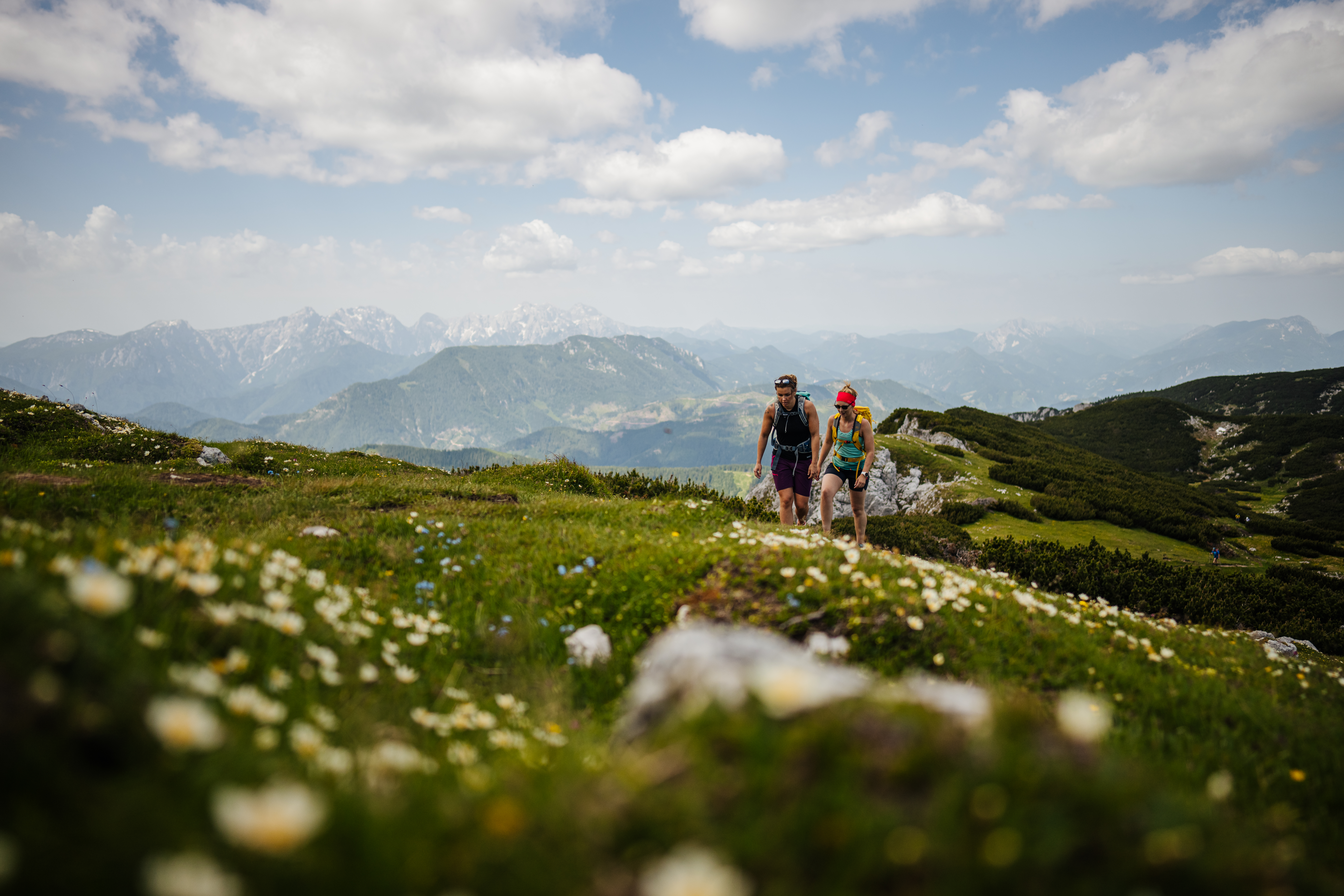 Pension Pirkdorfer See Tourentipps Große Petzenrunde