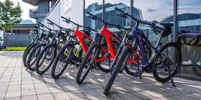 Wanderurlaub - Sonnenterrasse - Bad Aussee - Mountainbike und E-Bike Verleih vor Ort  - Narzissen Vital Resort