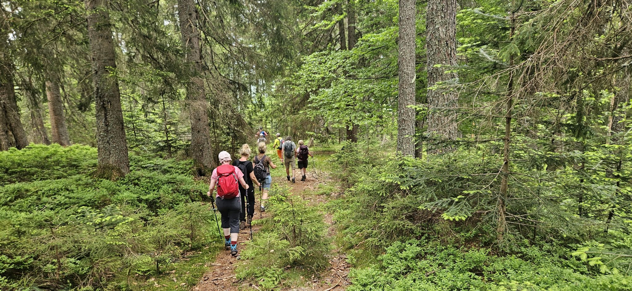 Wanderhotel: Premium Wanderhotel Steirerhof