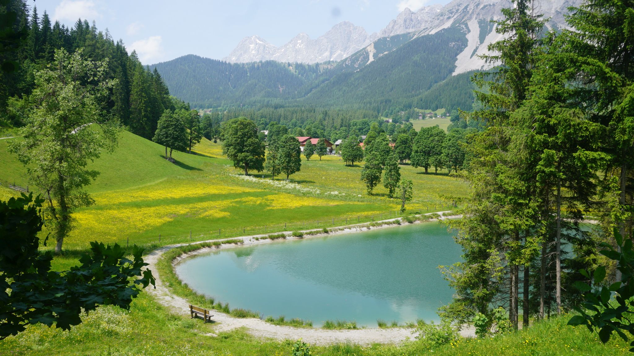 Wanderhotel: Premium Wanderhotel Steirerhof