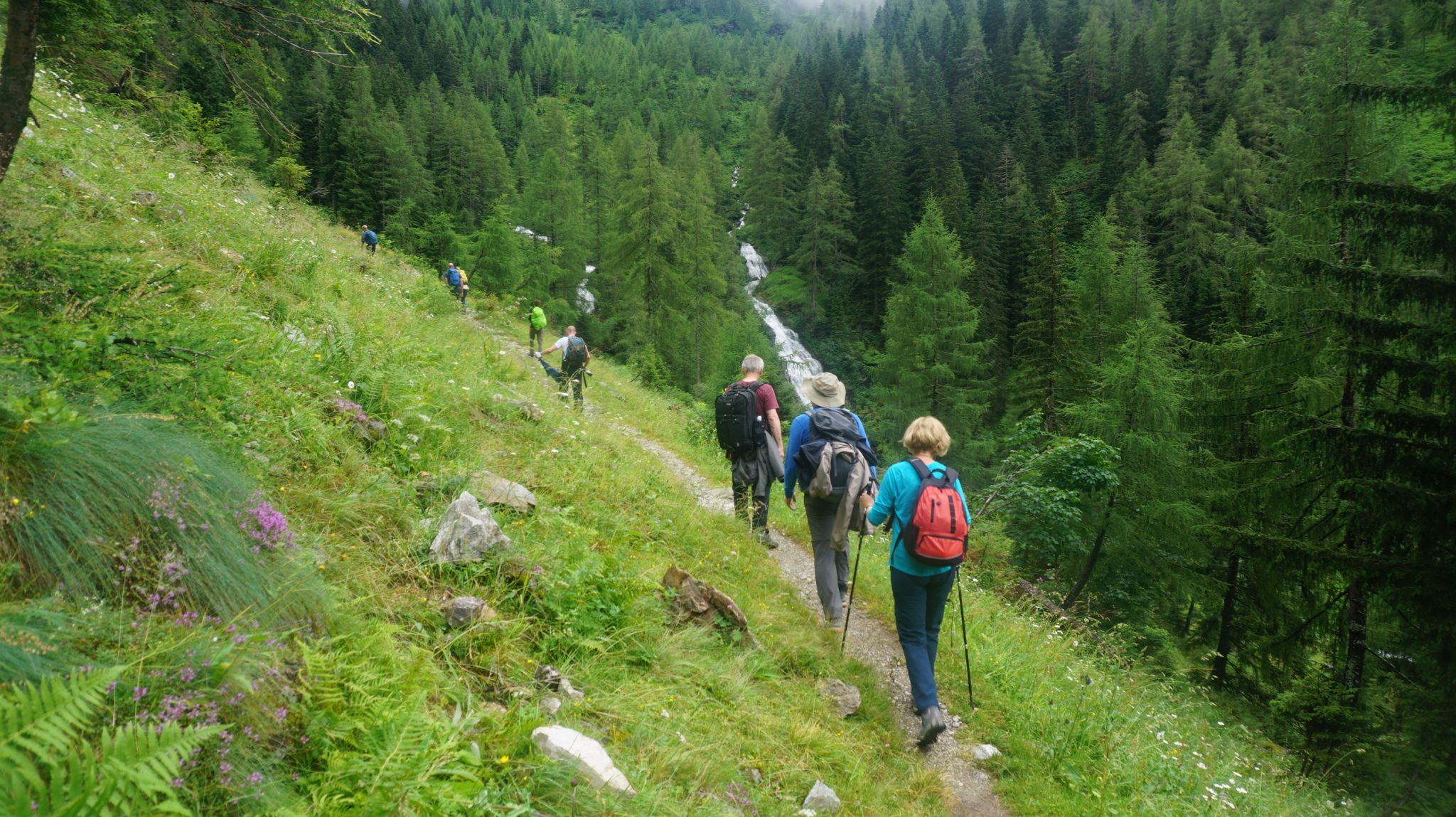 Wanderhotel: Premium Wanderhotel Steirerhof