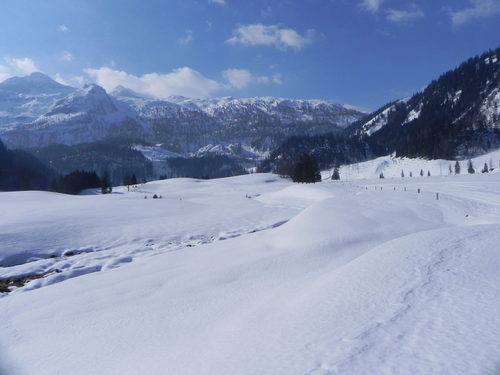 Wanderhotel: Premium Wanderhotel Steirerhof