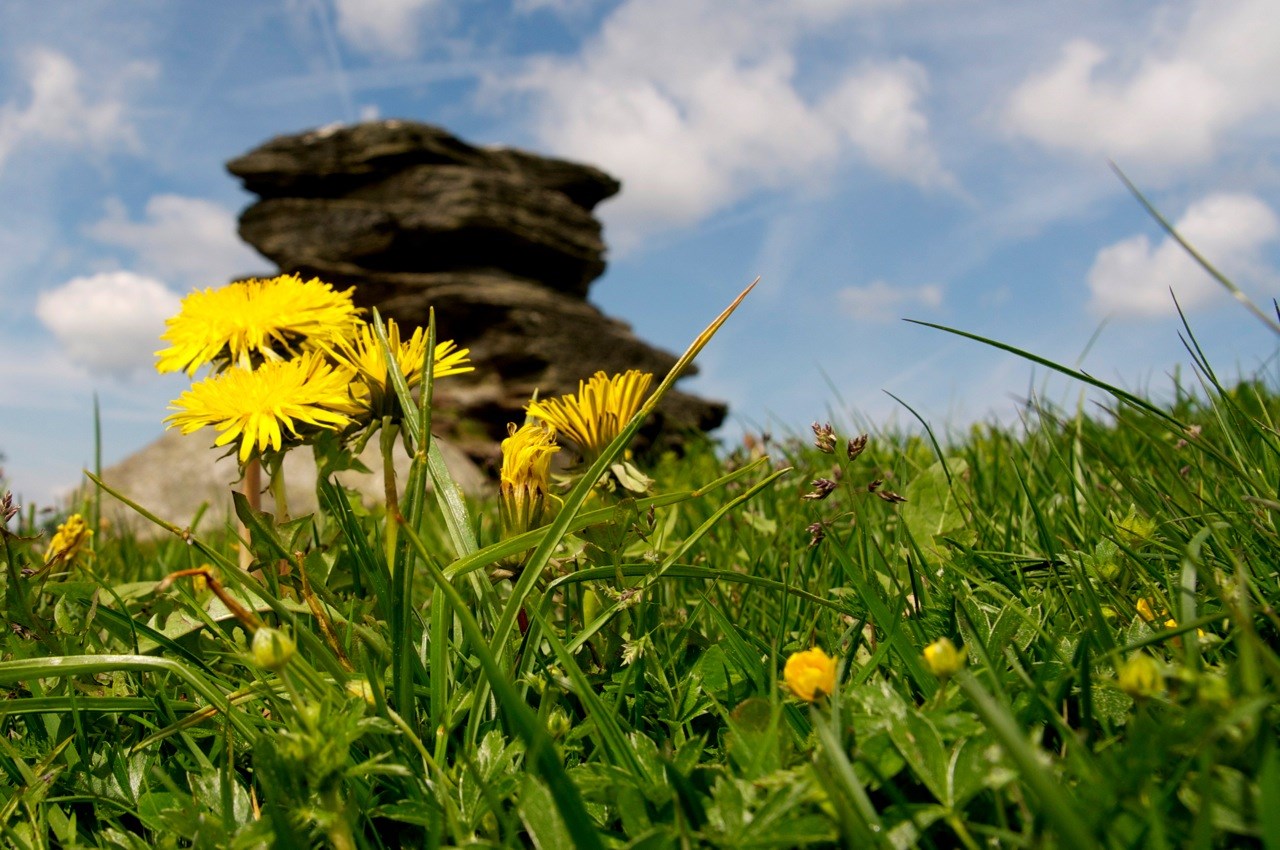 Dorfhotel Fasching Tourentipps Teufelsteinrunde