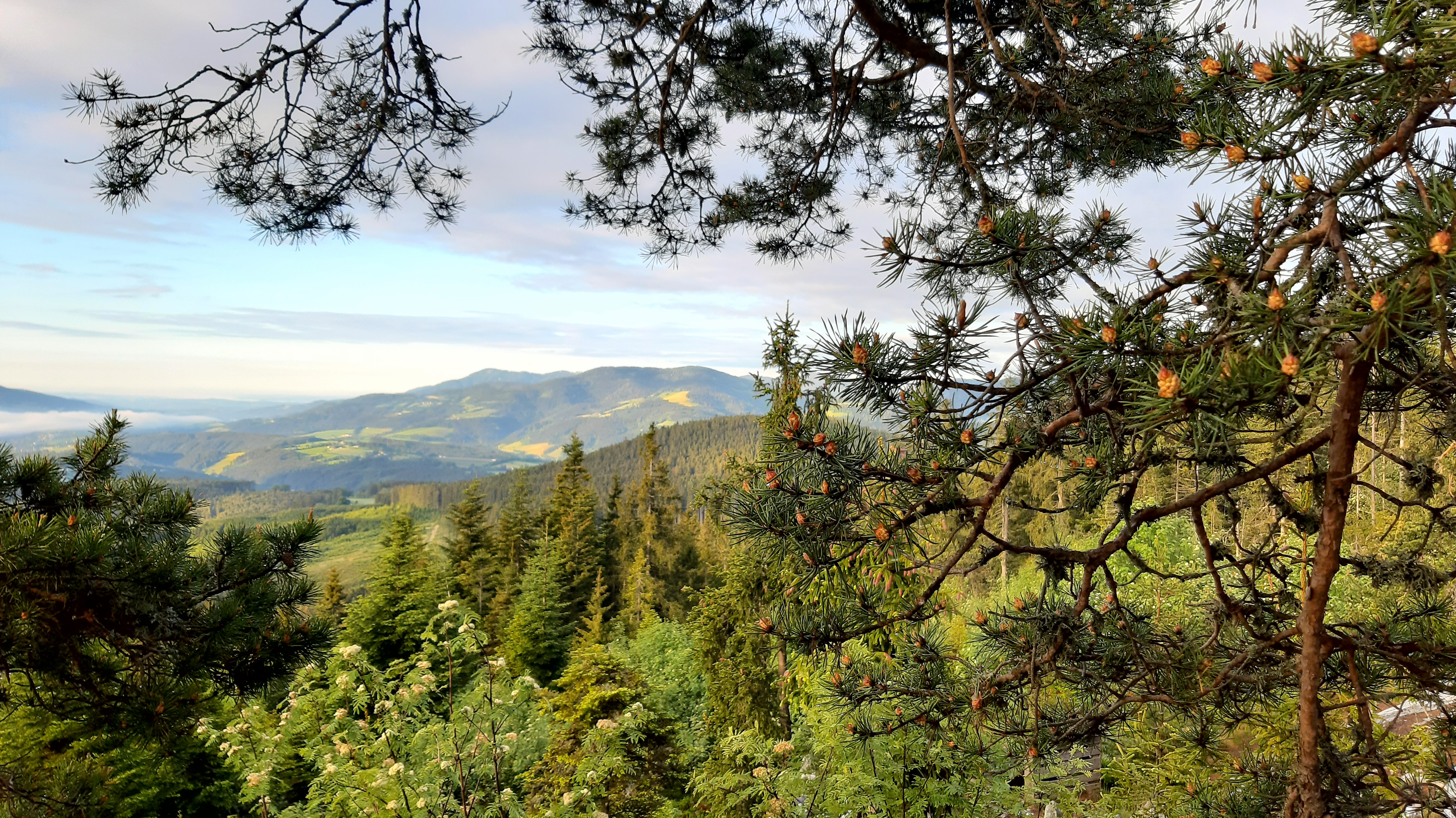 Wanderhotel: Wandergebiet Fischbacher Alpen - Dorfhotel Fasching