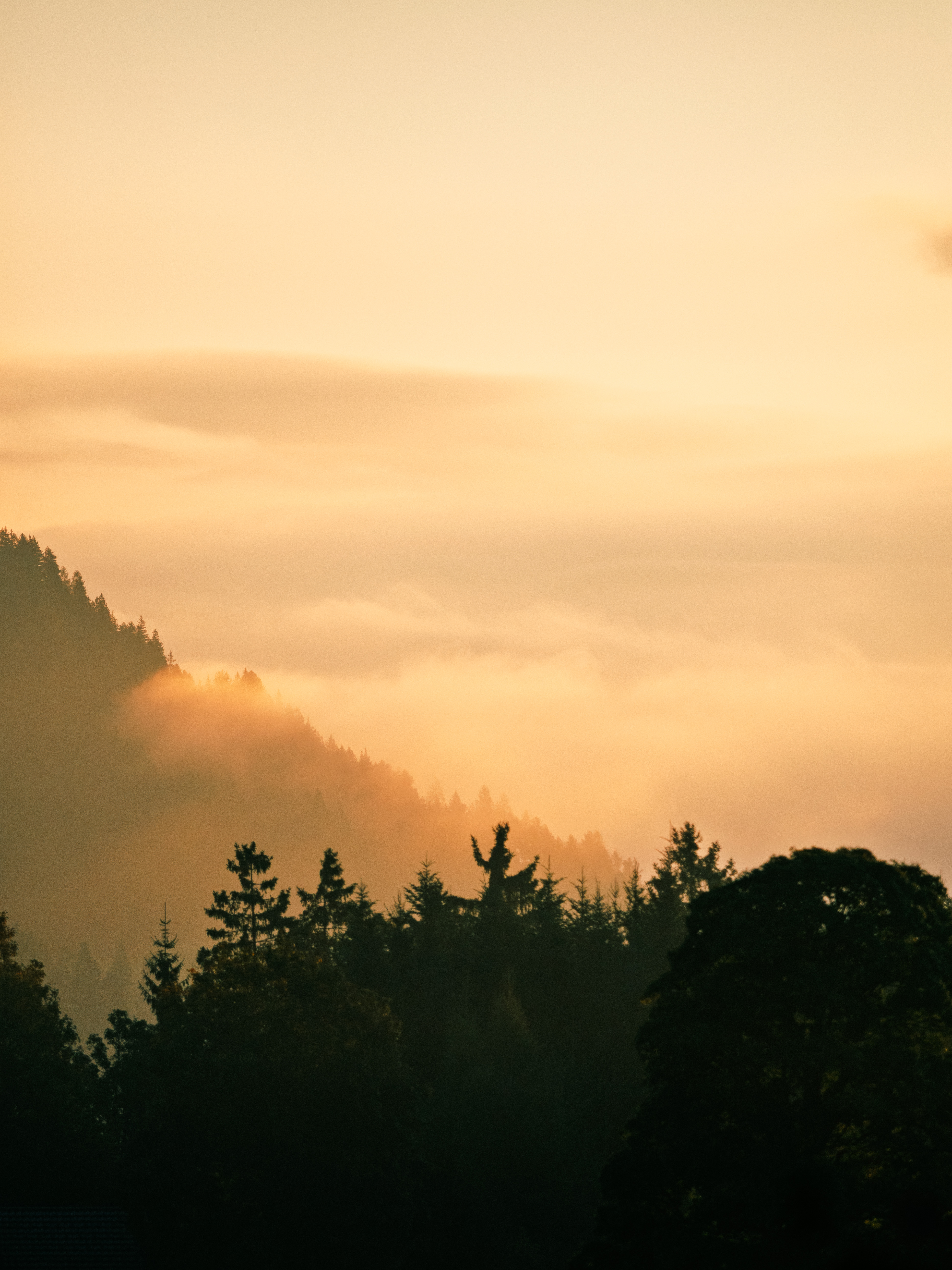 Wanderhotel: Hotel Annelies