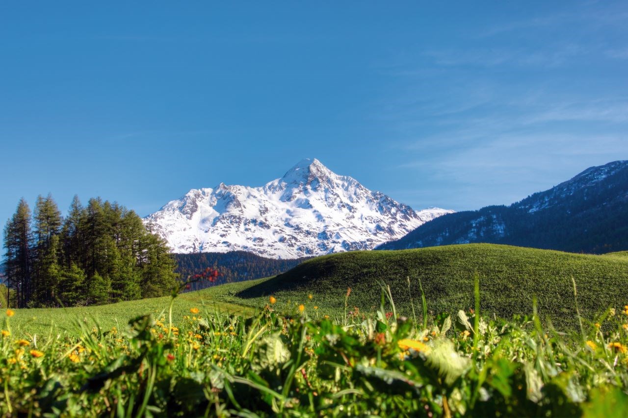 The Peak Sölden Tourentipps Nederkogel