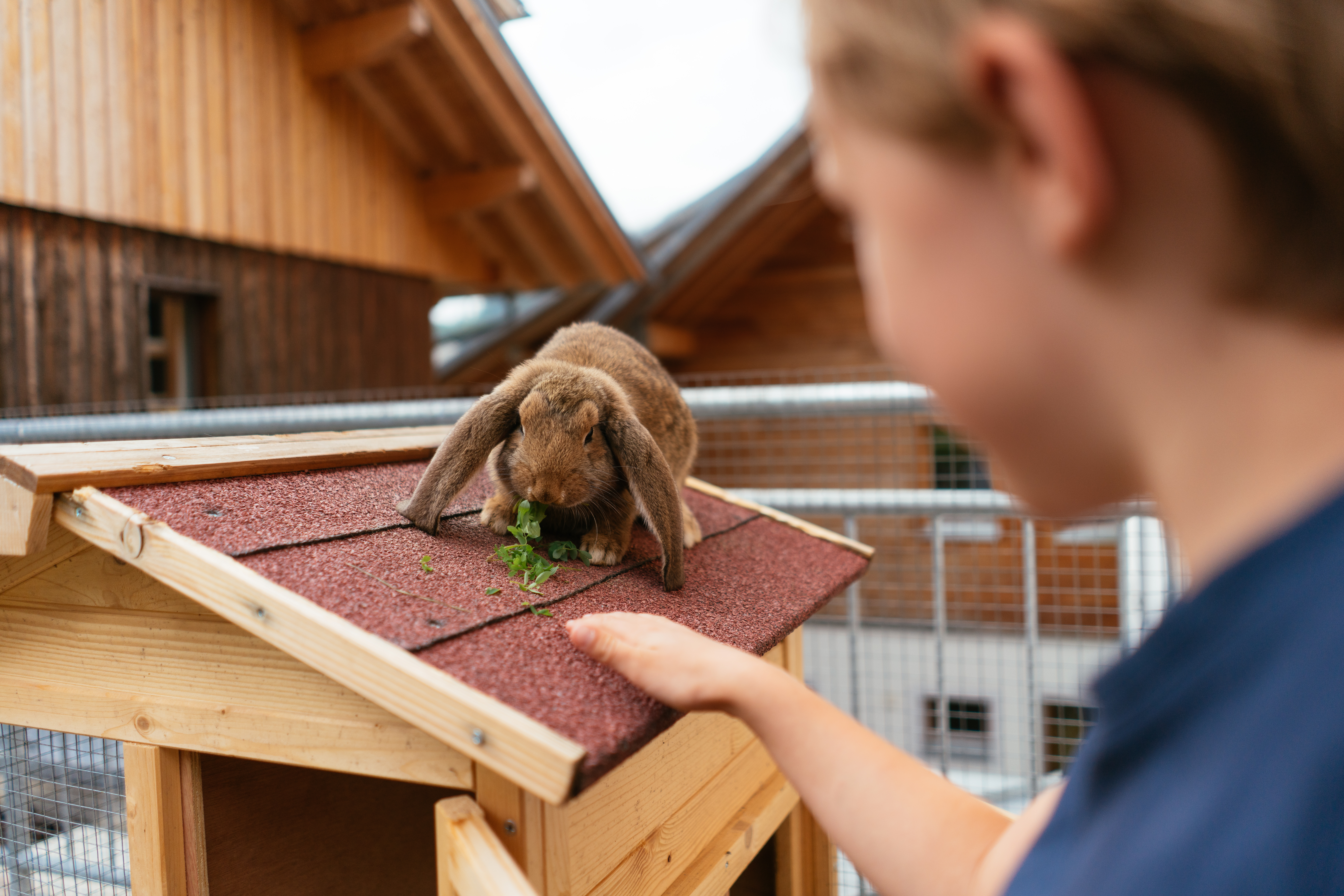 Wanderhotel: Ferienhof Neusacher Moser