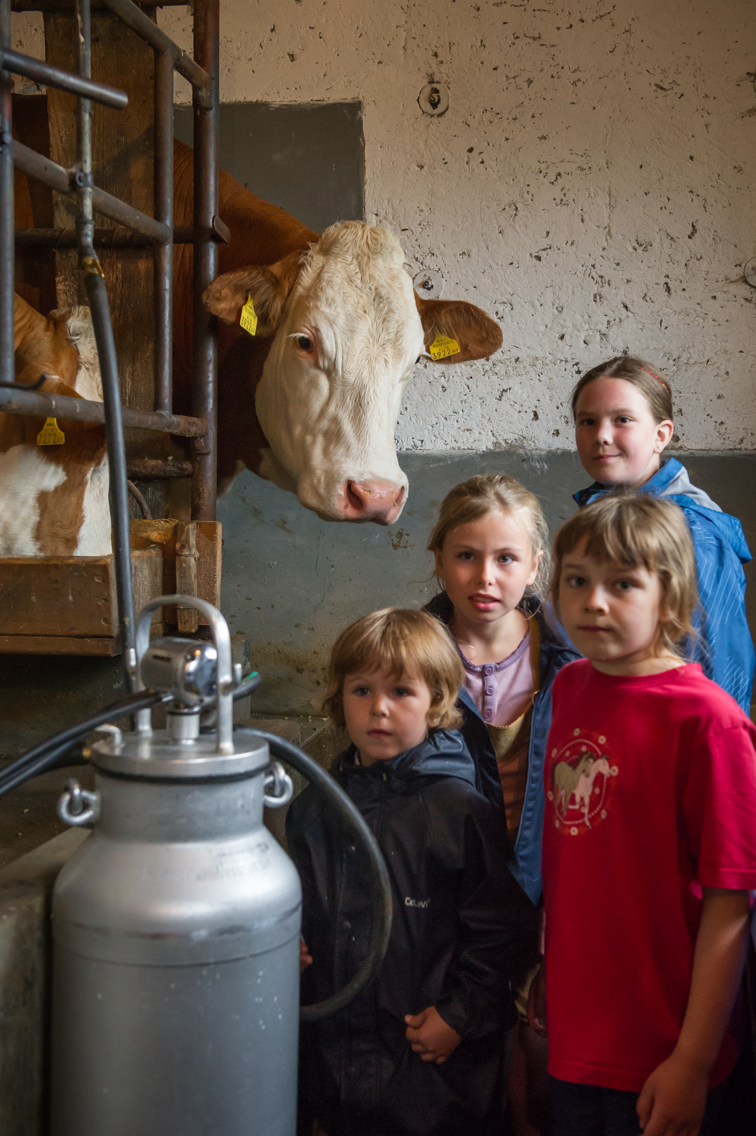 Wanderhotel: Ferienhof Neusacher Moser