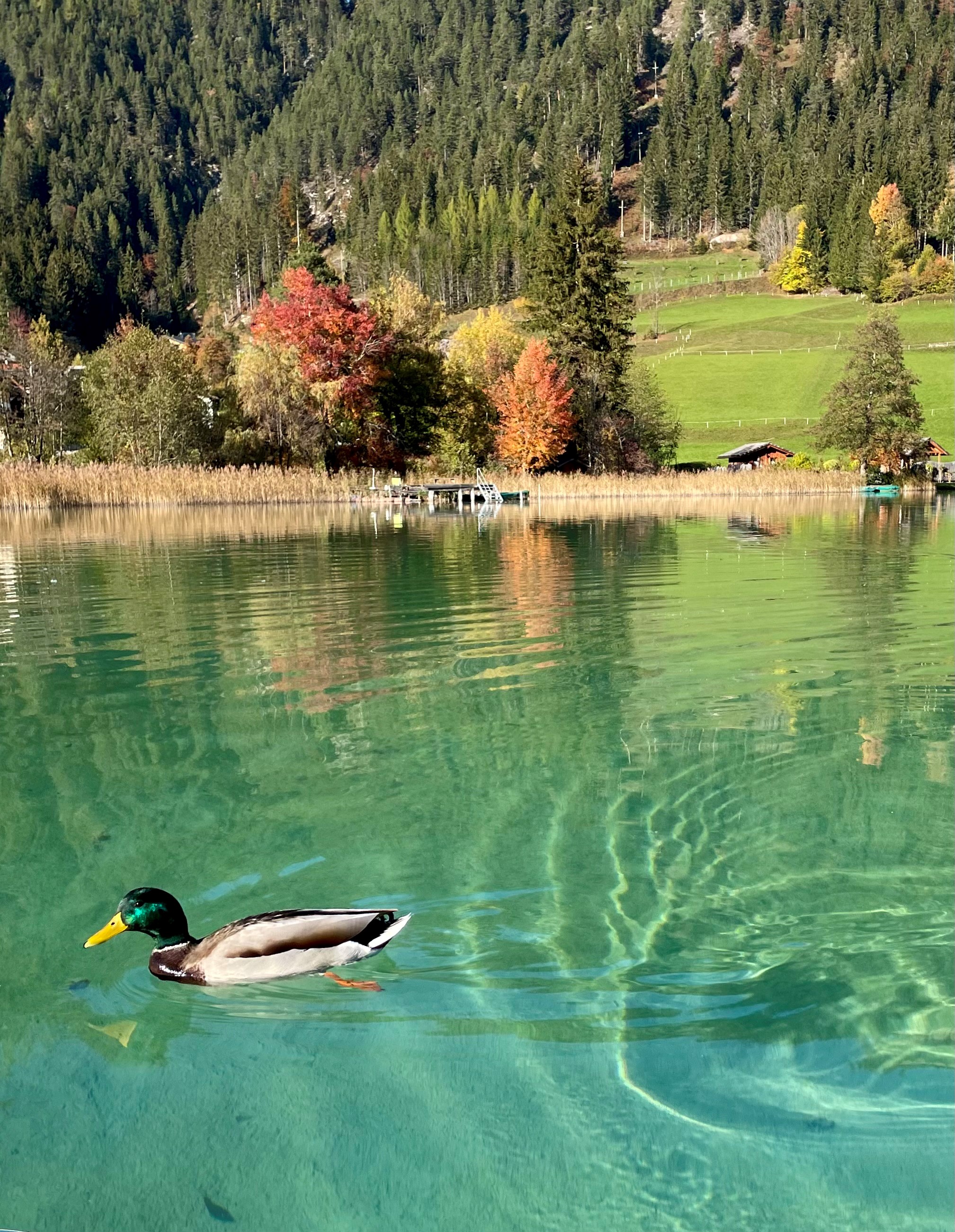 Wanderhotel: Ferienhof Neusacher Moser