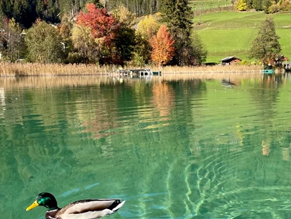 Wanderurlaub - Fahrstuhl - Ferienhof Neusacher Moser