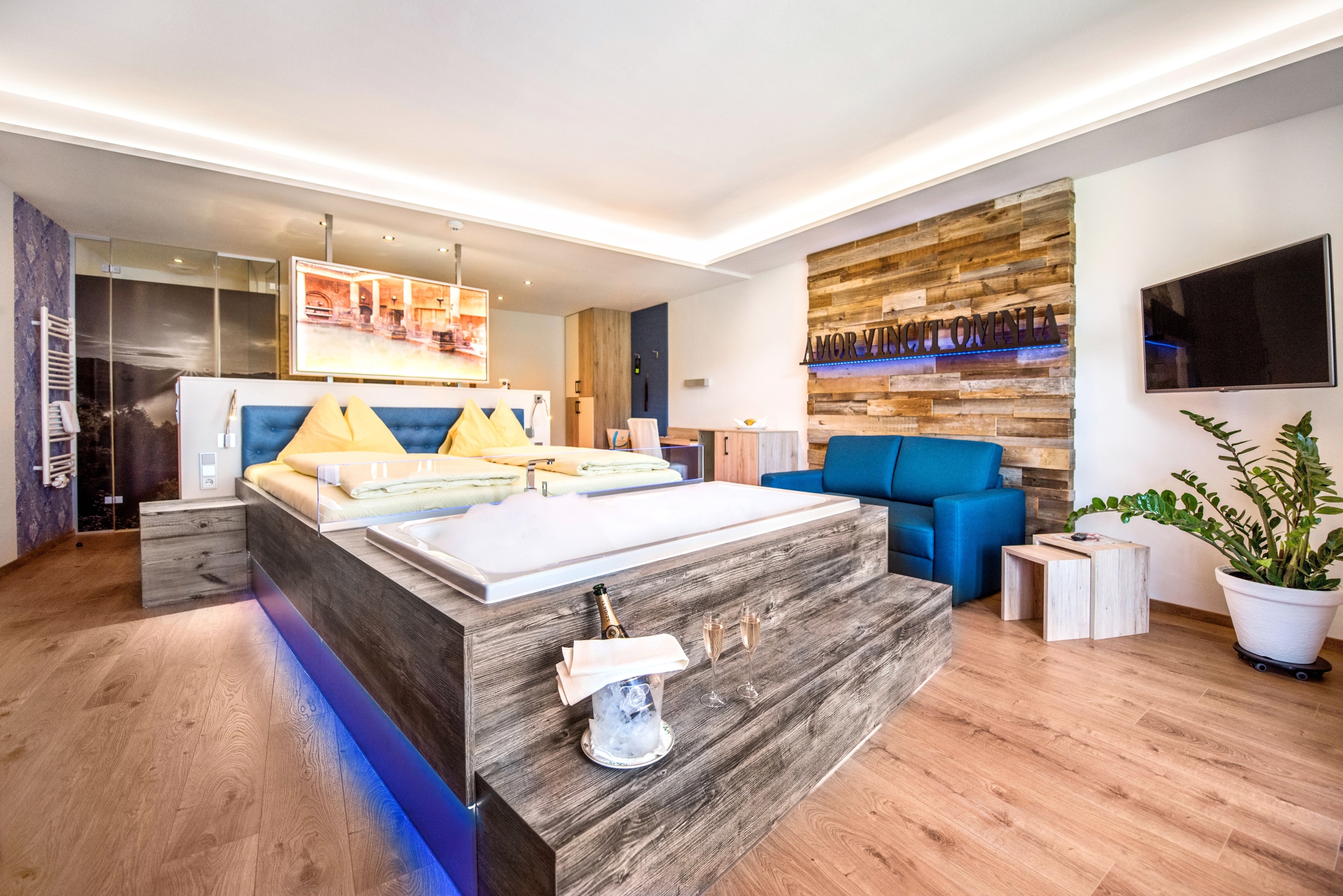 Riverresort Donauschlinge Zimmerkategorien Juniorsuite