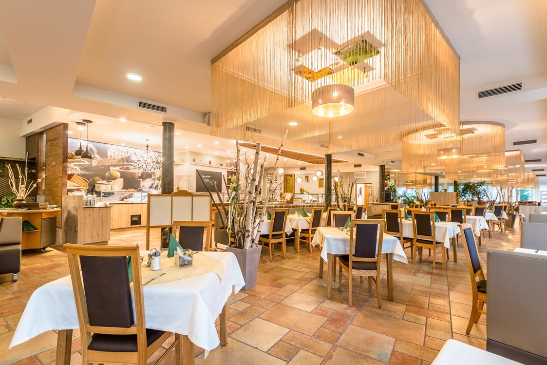 Wanderhotel: Panoramarestaurant - Riverresort Donauschlinge