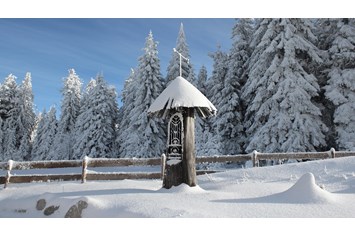 Wanderhotel: INNs HOLZ Natur- & Vitalhotel**** Kapelle im Winter - INNs HOLZ Natur- & Vitalhotel****