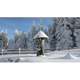 Wanderhotel: INNs HOLZ Natur- & Vitalhotel**** Kapelle im Winter - INNs HOLZ Natur- & Vitalhotel****