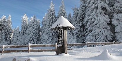 Wanderurlaub - Fahrstuhl - INNs HOLZ Natur- & Vitalhotel****s Kapelle im Winter - INNs HOLZ Natur- & Vitalhotel****s