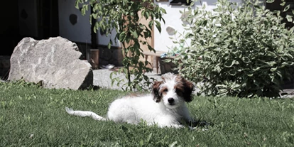 Wanderurlaub - Fahrstuhl - INNs HOLZ Natur- & Vitalhotel****s Urlaub mit Hund - INNs HOLZ Natur- & Vitalhotel****s