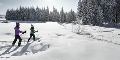 Wanderurlaub - Fahrstuhl - INNs HOLZ Natur- & Vitalhotel****s Schneeschuhwandern - INNs HOLZ Natur- & Vitalhotel****s