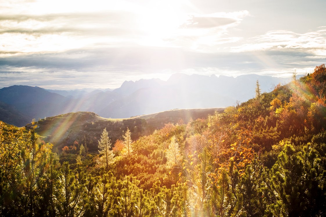 Wanderhotel: Herbst am Feuerkogel mit strahlender Herbstsonne - Kranabethhütte
