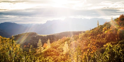 Wanderurlaub - Sonnenterrasse - Bad Aussee - Herbst am Feuerkogel mit strahlender Herbstsonne - Kranabethhütte