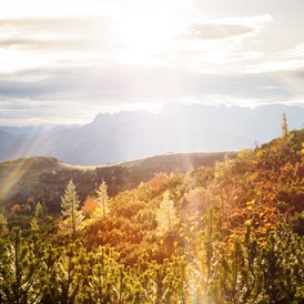 Wanderhotel: Herbst am Feuerkogel mit strahlender Herbstsonne - Kranabethhütte