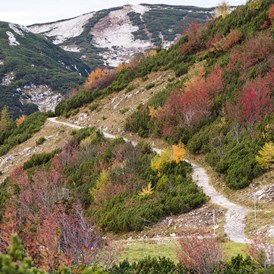 Wanderhotel: Eine der vielzähligen Wanderwege am Hochplateau Feuerkogel - Kranabethhütte