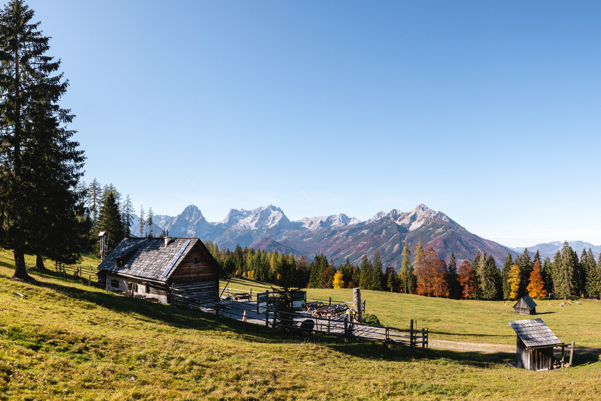 Landhotel Das Socker Almen Die Steyrsbergerreith