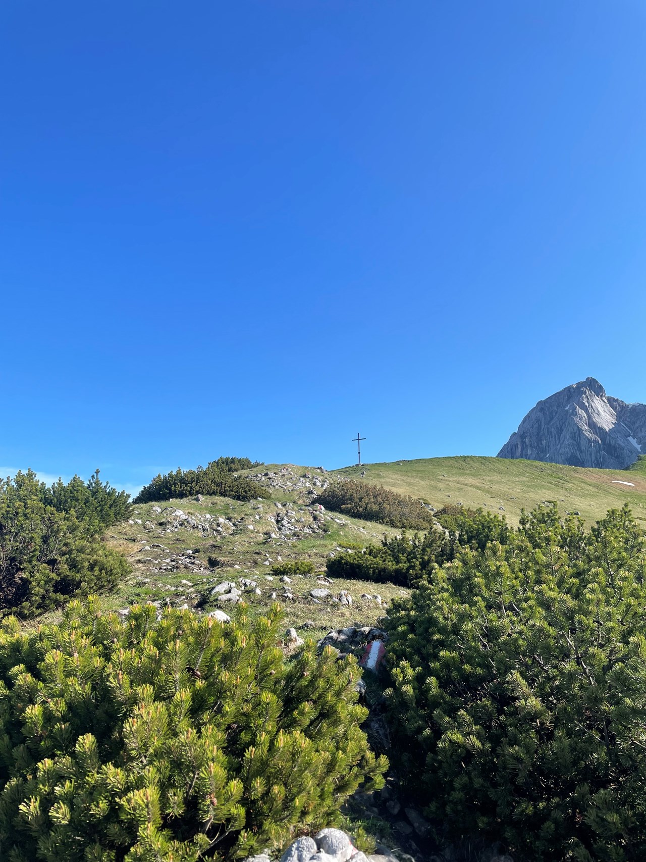 Hotel …mein Neubergerhof**** Tourentipps Sulzenschneid