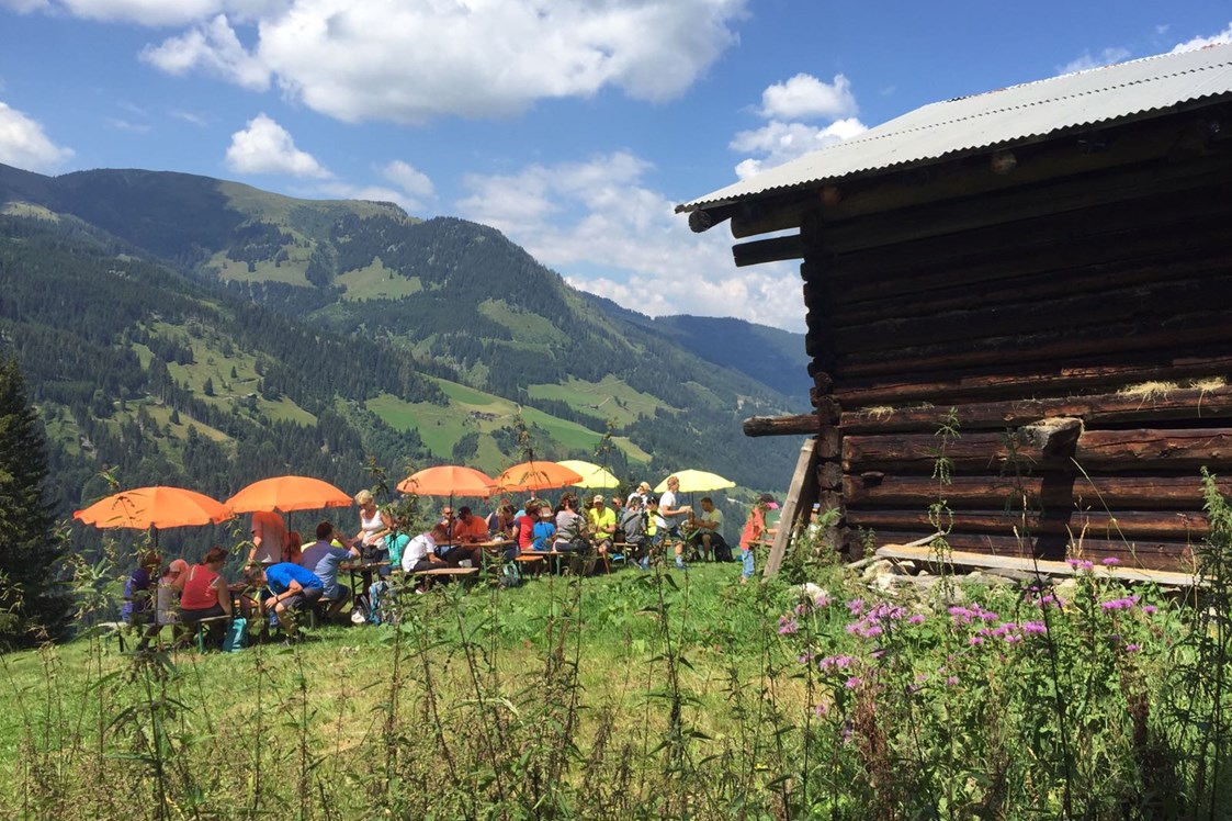 Wanderhotel: Wanderung mit Picknick am Berg - Familienhotel Botenwirt ***S